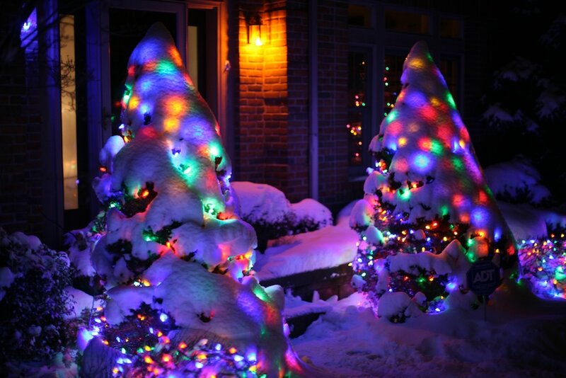 Snow-covered Trees with Lights — Purple, Festive