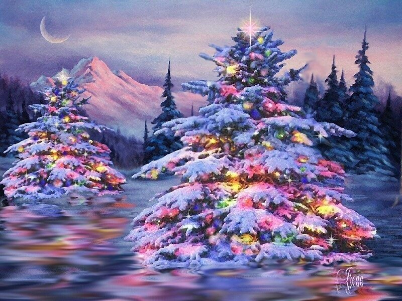 Snow-covered Trees with Lights