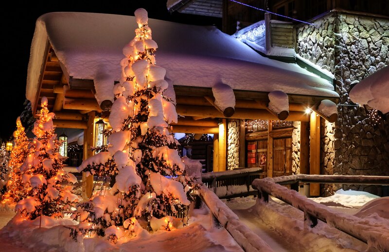Snow-covered Trees with Lights — White, Cozy, Night