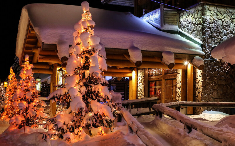 Snow-covered Trees with Lights — White, Cozy