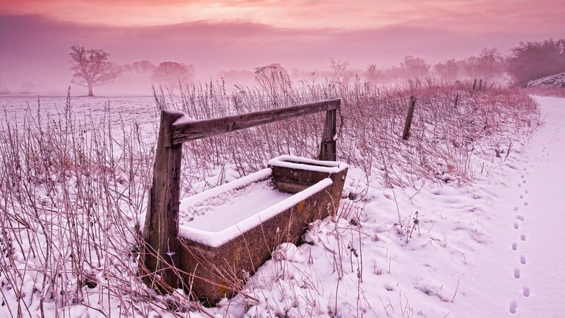 Snow-covered Trough