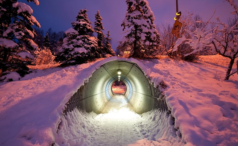 Snow-covered Tunnel — White, Serene, Night, Photograph, Trees, Snow, Lights