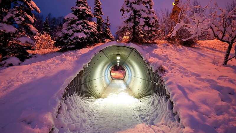 Snow-covered Tunnel — White, Serene, Night, Photograph, Trees, Snow, Purple
