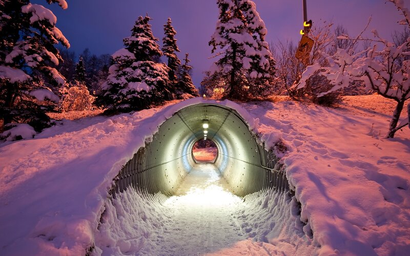 Snow-covered Tunnel — White, Serene, Night, Photograph, Trees
