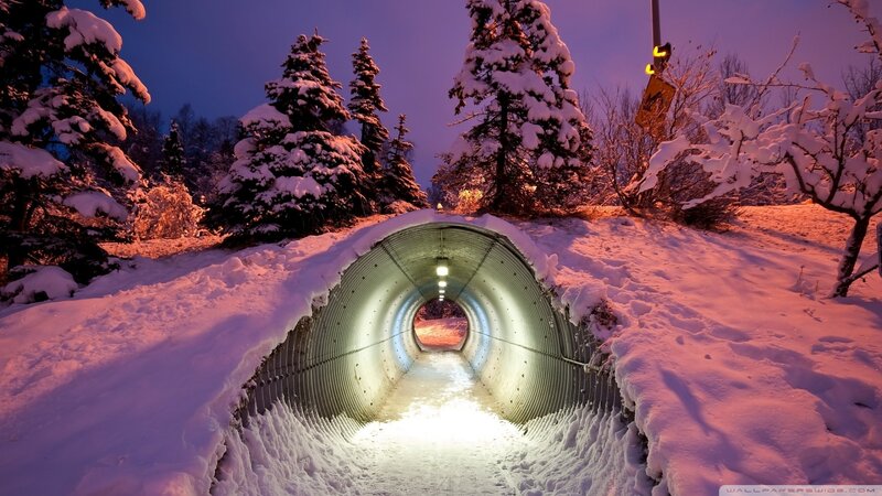 Snow-covered Tunnel — White, Serene