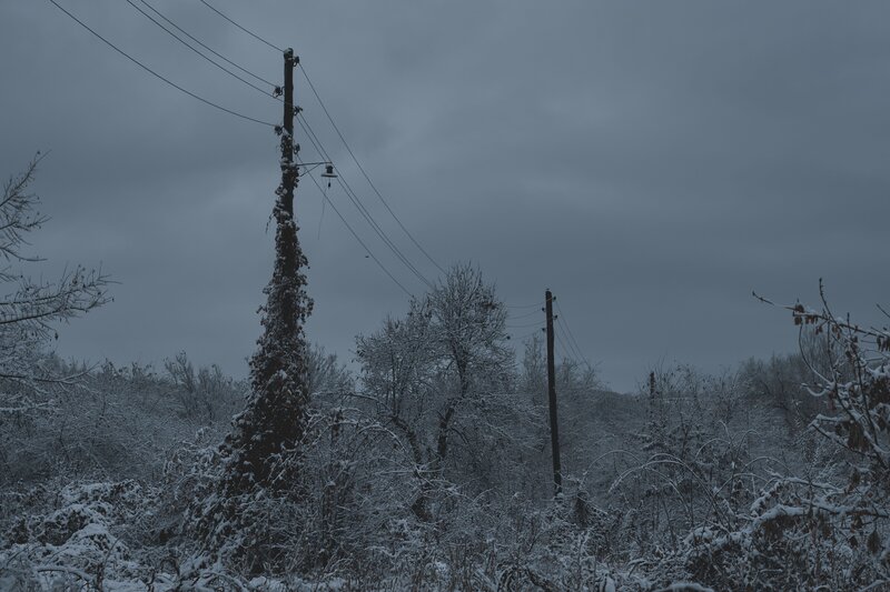Snow-covered Utility Pole