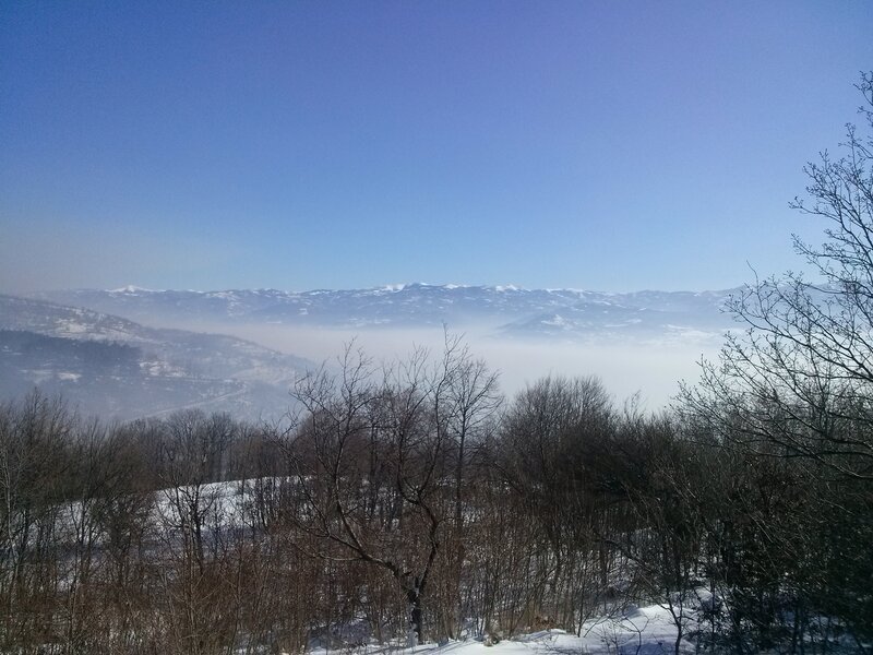 Snow-covered Valley — Blue, Serene, Winter, Photograph, Trees