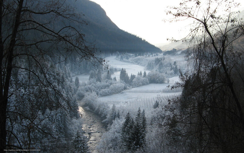 Snow-covered Valley — White, Serene, Winter, Photograph, River, Trees