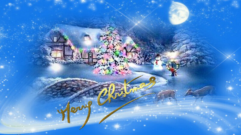 Snow-covered Village — Blue, Festive, Night