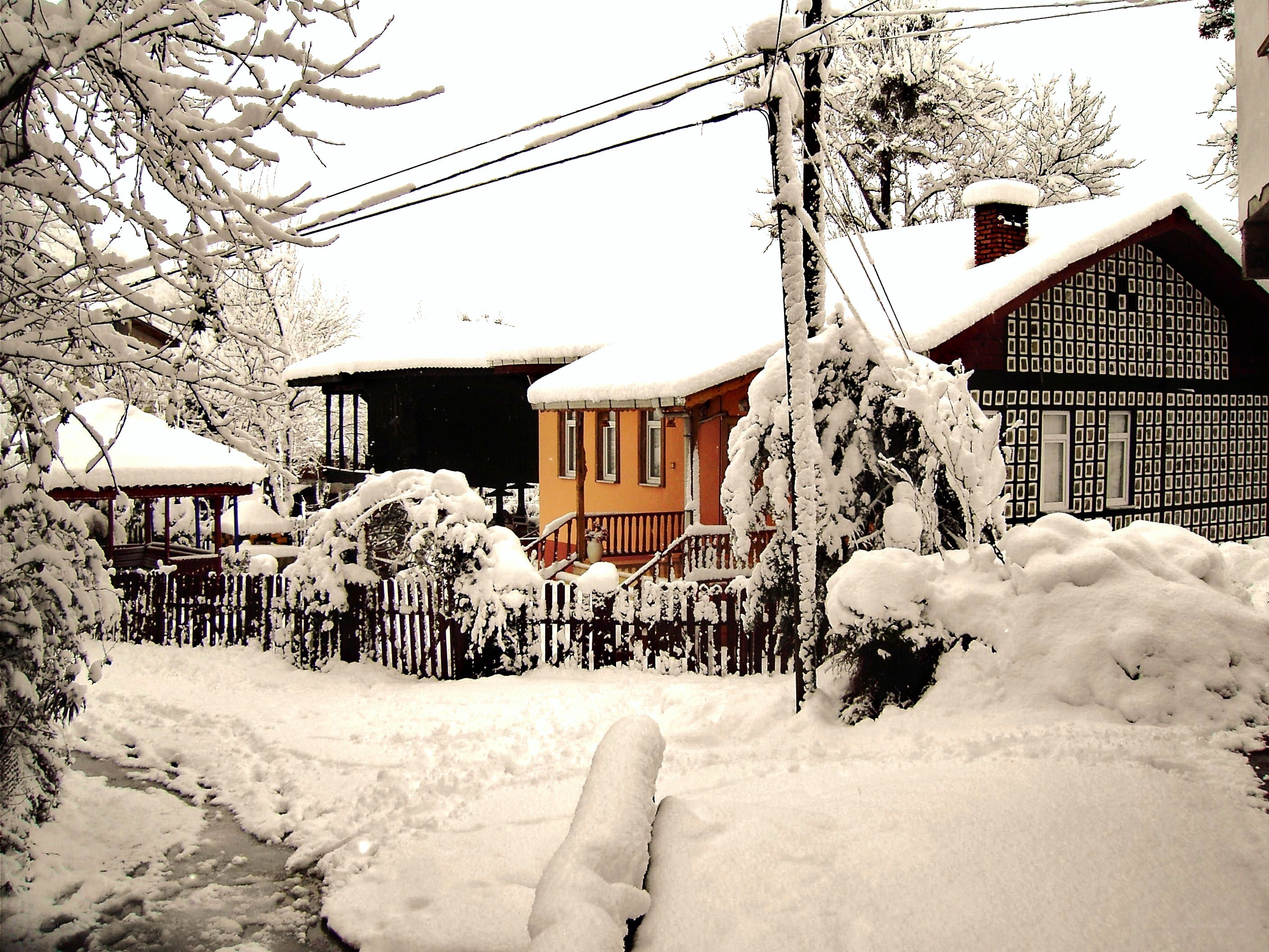 Snow-covered village homes