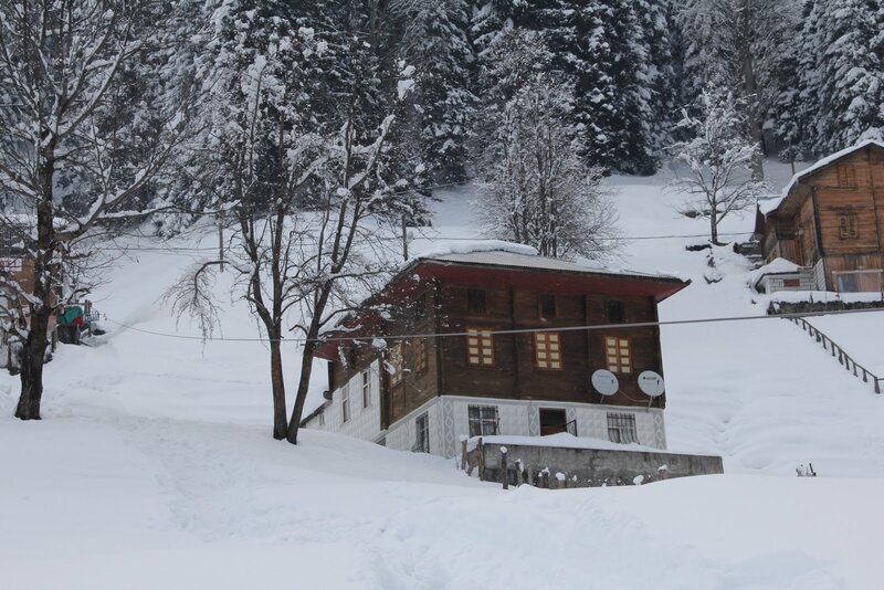 Snow-covered village in winter