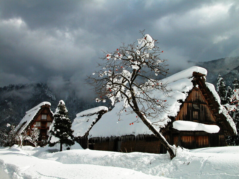 Snow-covered village in winter