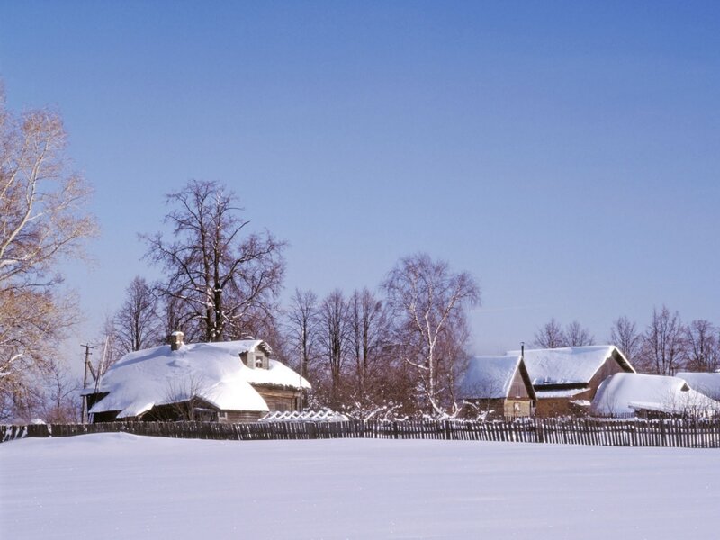 Snow-covered village in winter