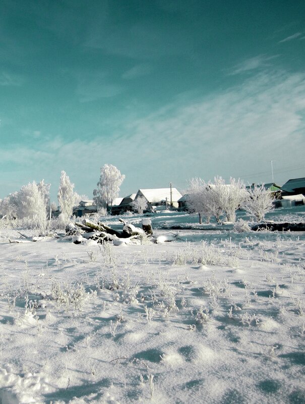 Snow-covered Village — White, Cold, Winter, Photograph, Houses, Trees