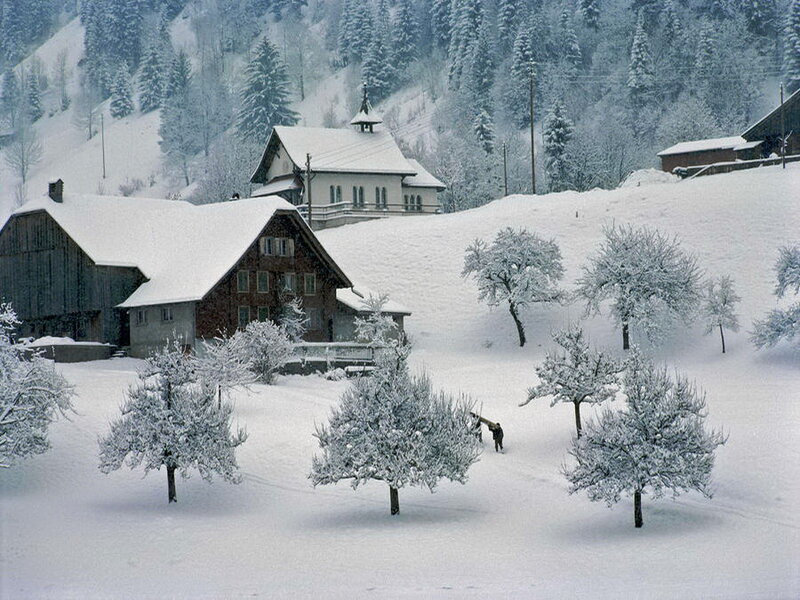 Snow-covered Village — White, Serene, Winter, Photograph, Buildings, Trees