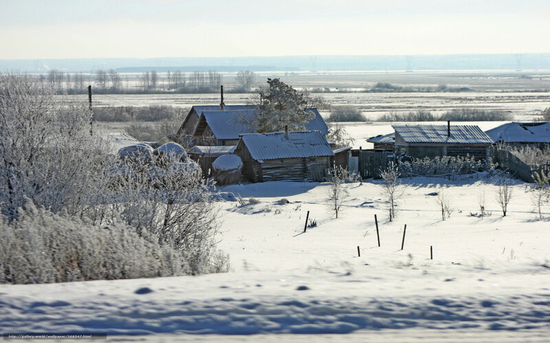 Snow-covered Village — White, Serene, Winter, Photograph, Houses, Trees, Fences