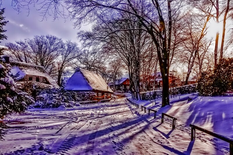 Snow-covered Village — White, Serene, Winter, Photograph, Houses, Trees, Path