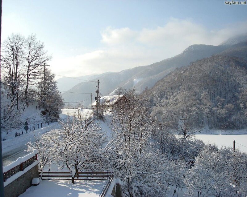 Snow-covered Village — White, Serene, Winter, Photograph, Mountains, Trees, Road