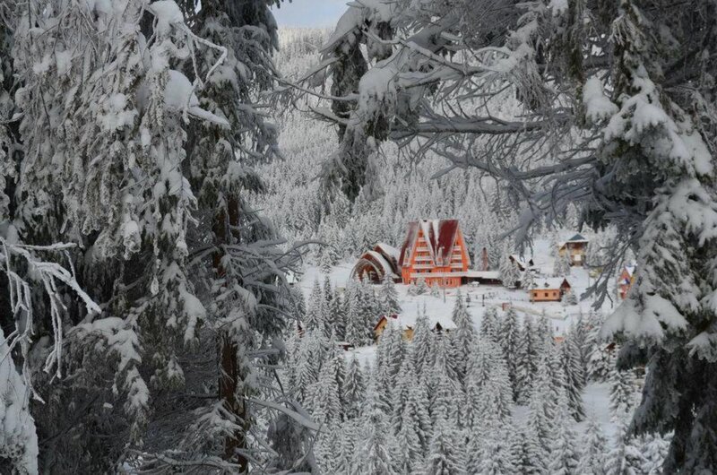 Snow-covered Village — White, Serene, Winter, Photograph, Trees, Buildings