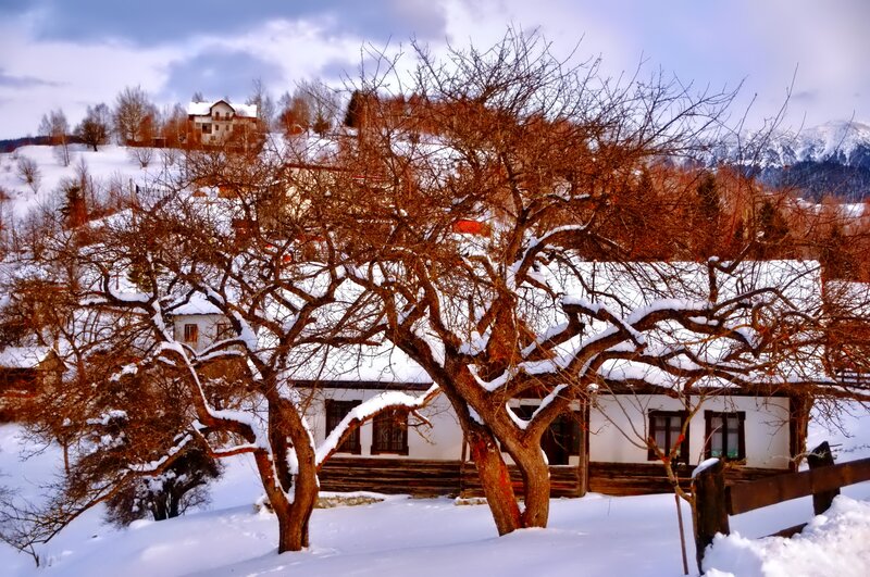 Snow-covered Village — White, Serene, Winter, Photograph, Trees, House