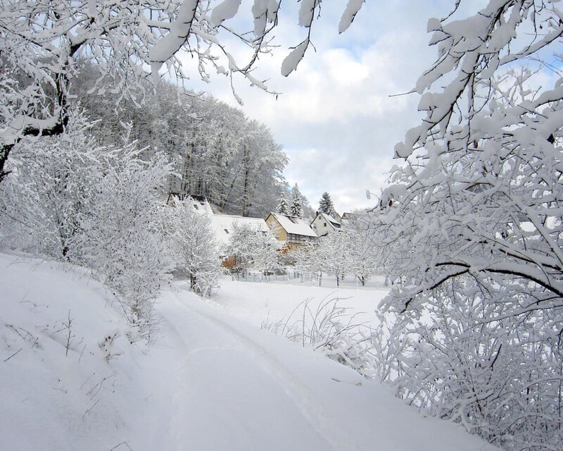 Snow-covered Village — White, Serene, Winter, Photograph, Trees, Houses