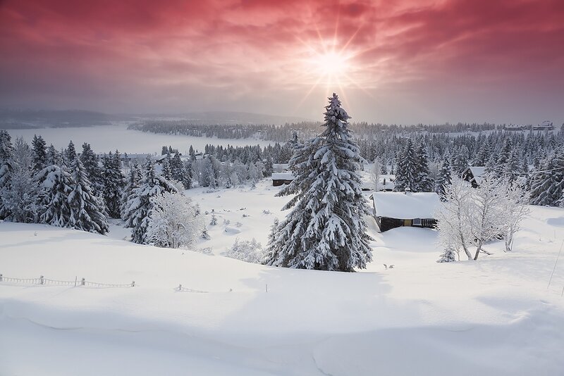 Snow-covered Village — White, Serene, Winter, Photograph, Trees, Huts, Sun