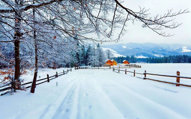 Snow-covered Village — White, Serene, Winter, Photograph, Trees, Huts