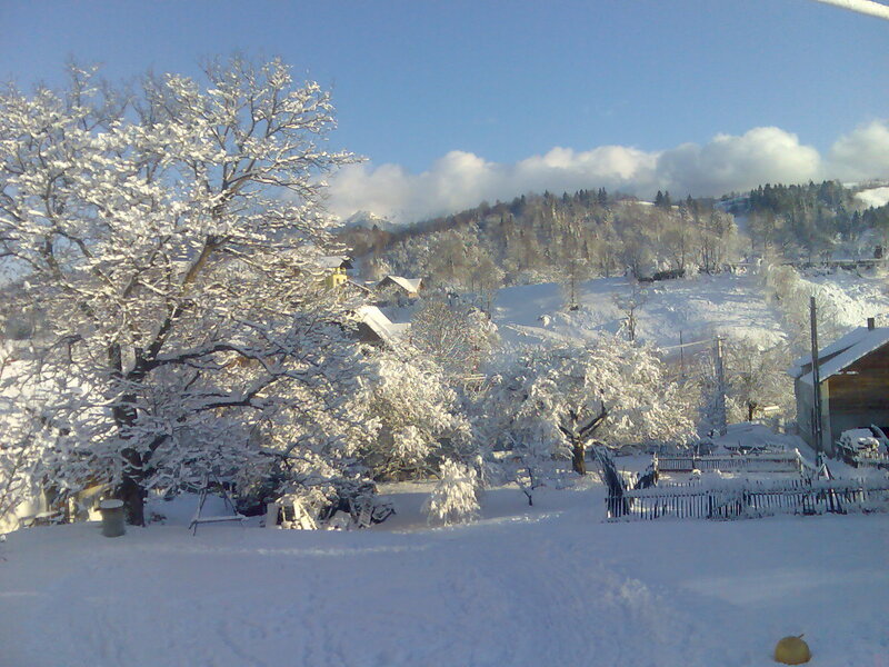 Snow-covered Village — White, Serene, Winter