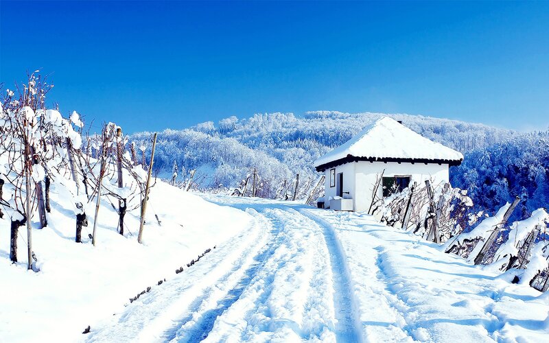 Snow-covered Vineyard House