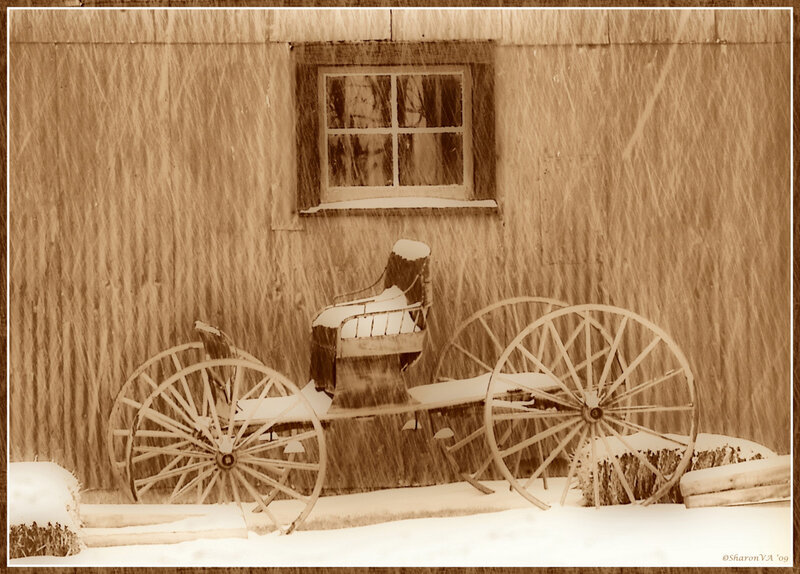 Snow-covered Wagon — Brown