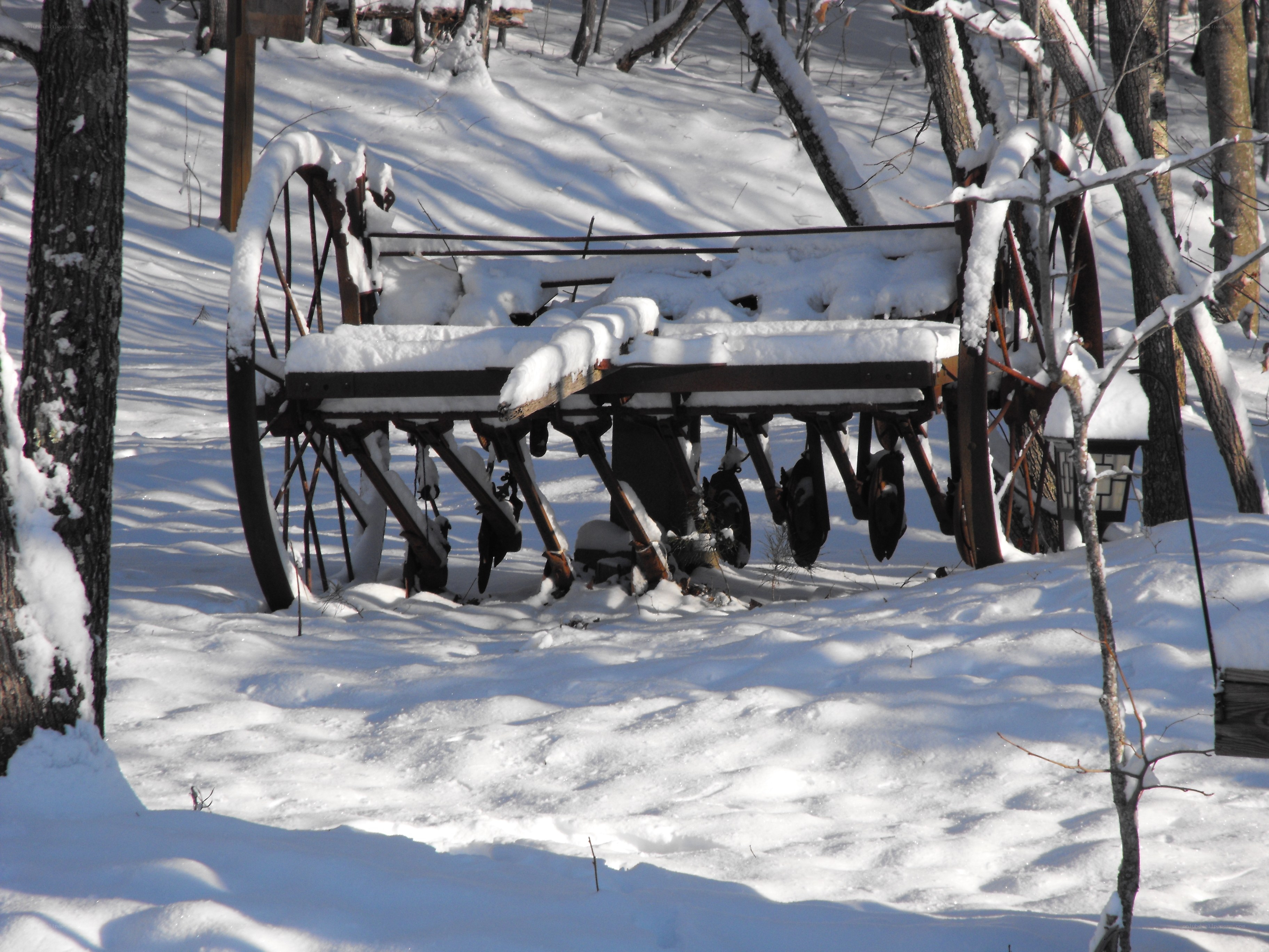 Snow-covered wagon in winter forest