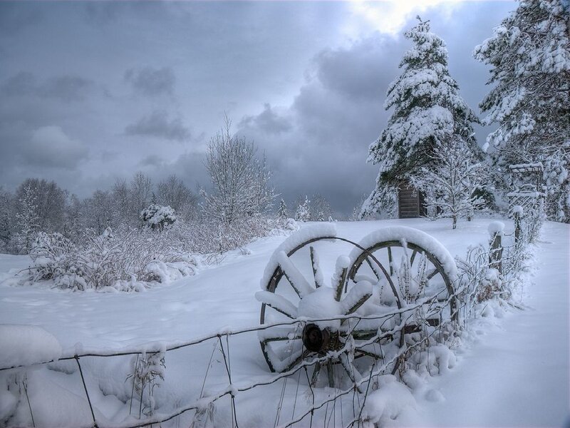 Snow-covered wagon wheels in winter