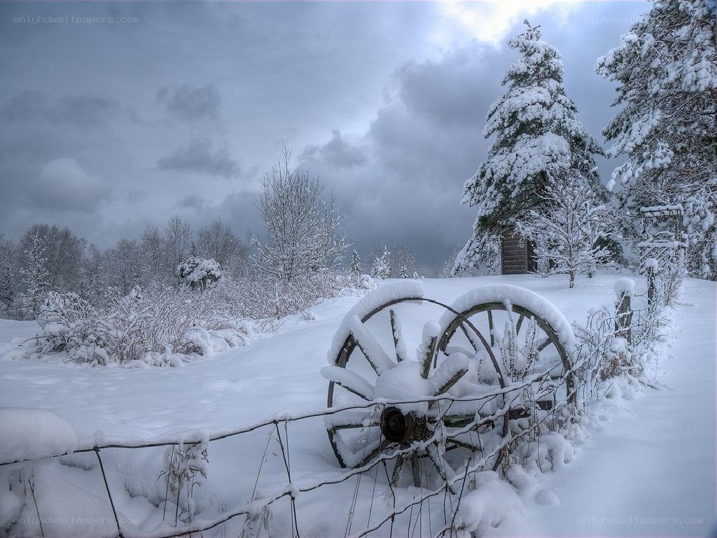 Snow-covered wagon wheels in winter