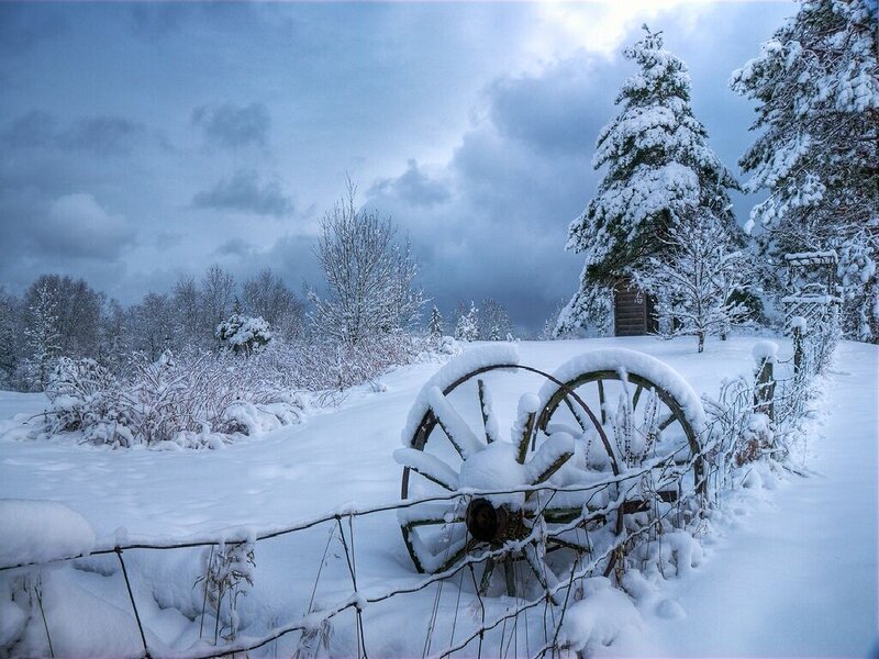 Snow-covered Wagon Wheels — White