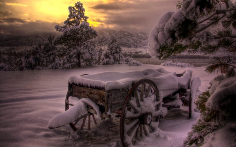 Snow-covered Wagon — White, Serene