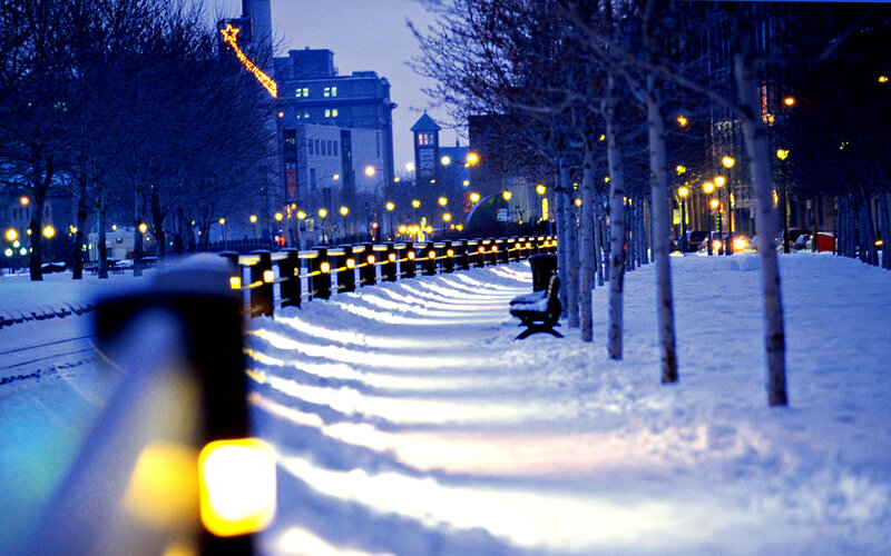 Snow-covered Walkway — Blue, Serene