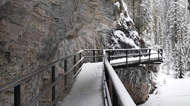 Snow-covered Walkway — White, Cold