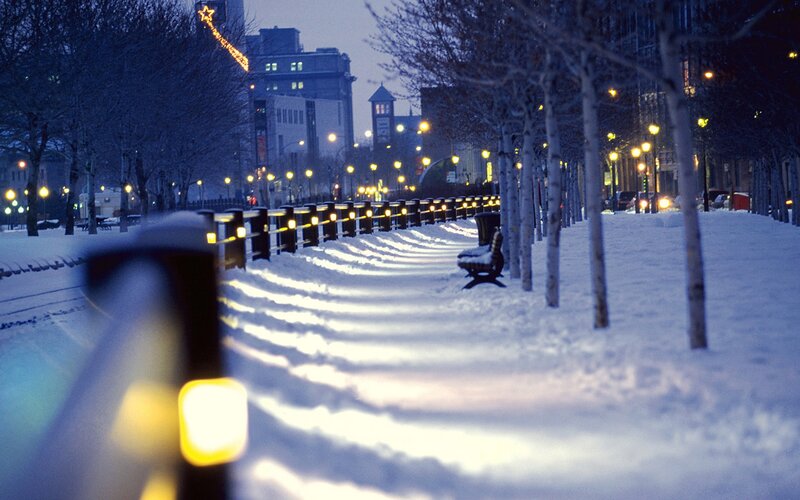 Snow-covered Walkway — White, Serene, Night