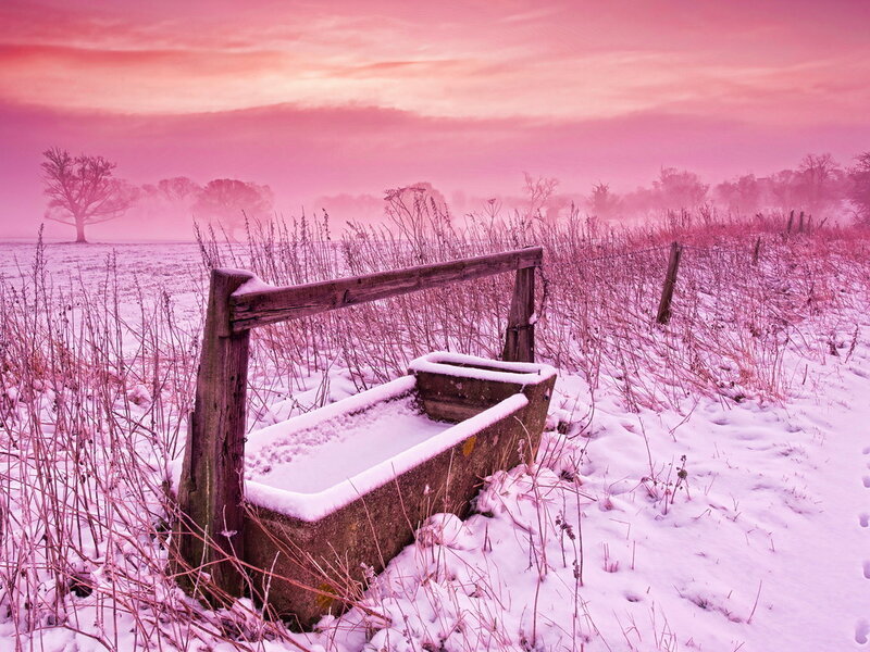Snow-covered Water Trough