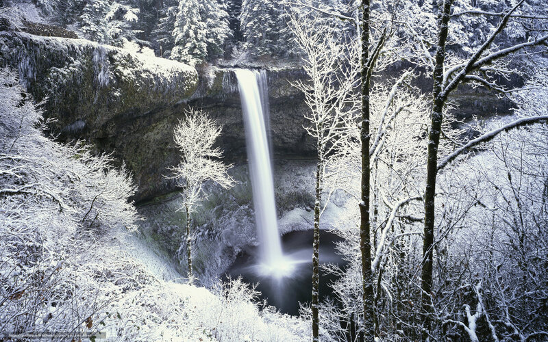 Snow-covered Waterfall — White, Serene, Winter, Photograph, Trees, Forest