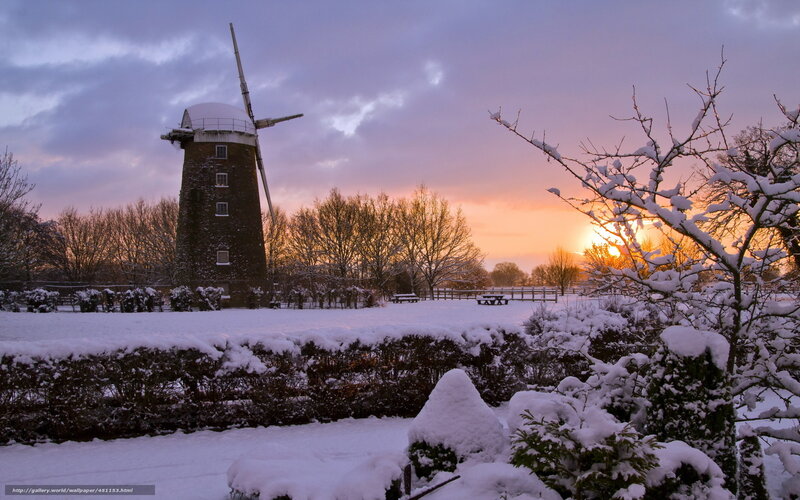 Snow-covered Windmill — Purple, Serene