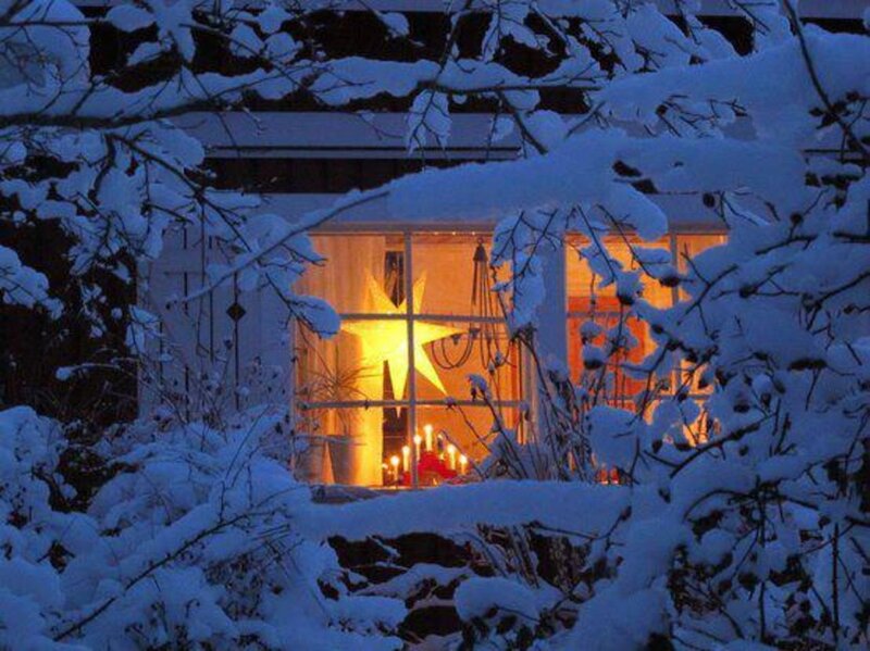 Snow-covered Window