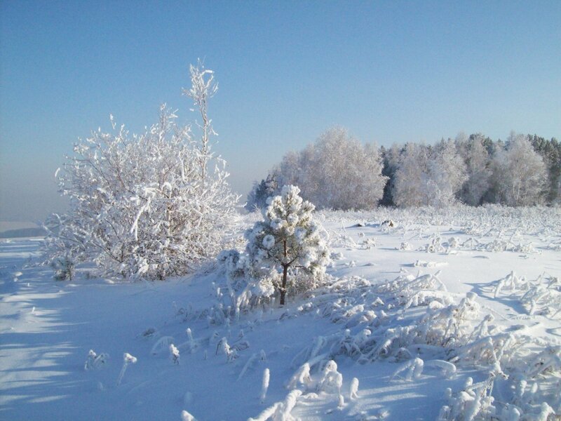 Snow-covered winter landscape