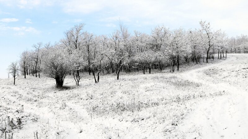 Snow-covered winter landscape
