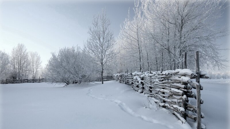 Snow-covered winter landscape