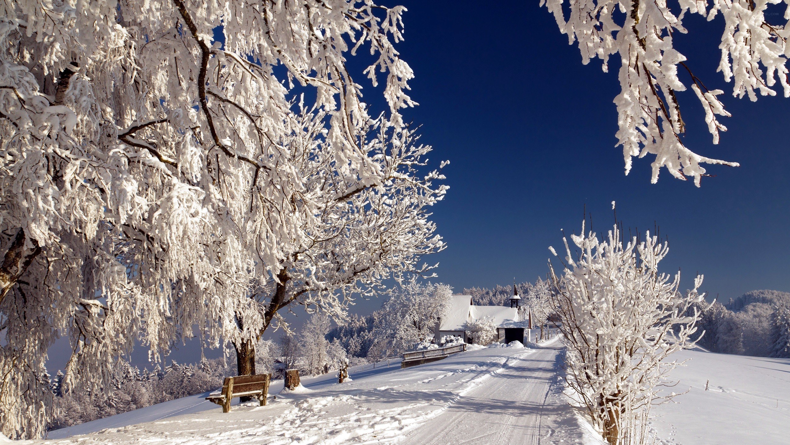 Snow-covered winter landscape