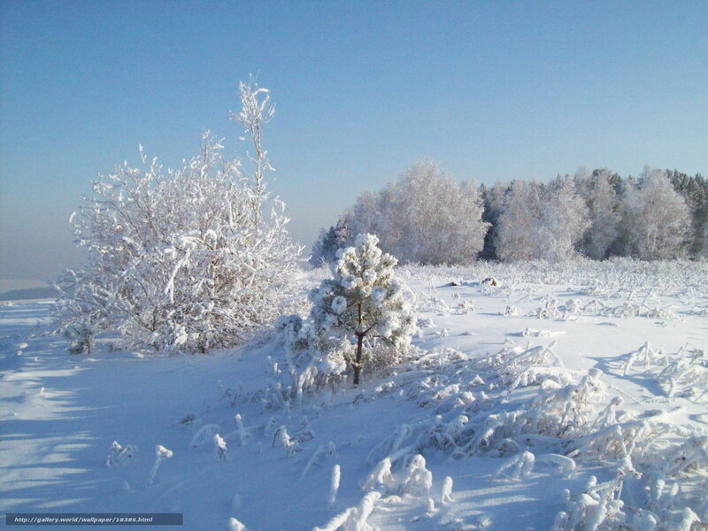 Snow-covered winter landscape
