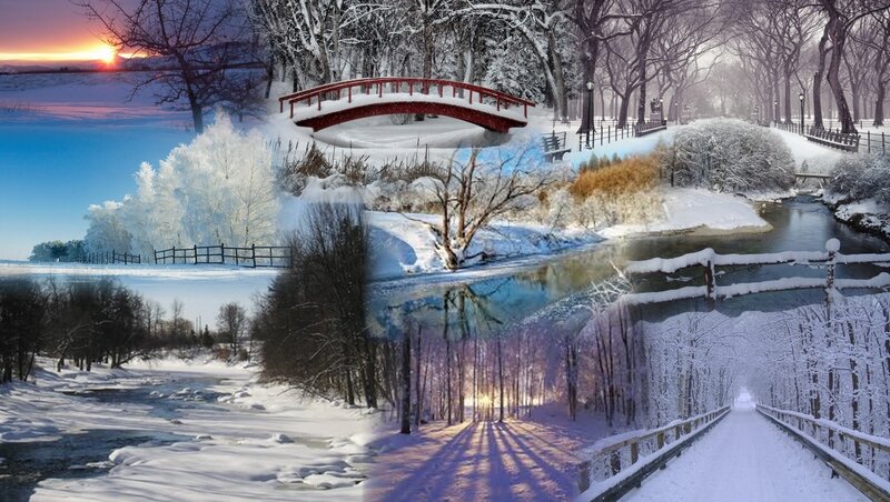 Snow-covered Winter Landscape — White