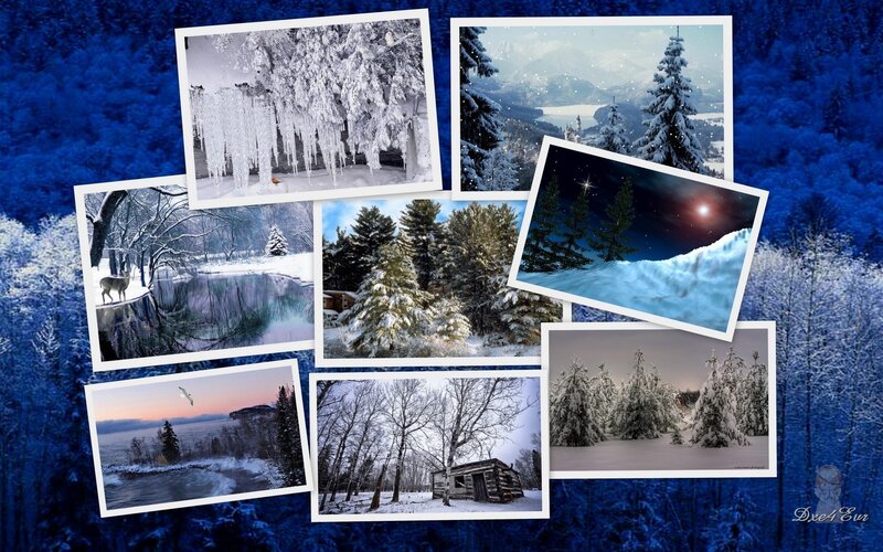 Snow-covered Winter Scenes — Blue
