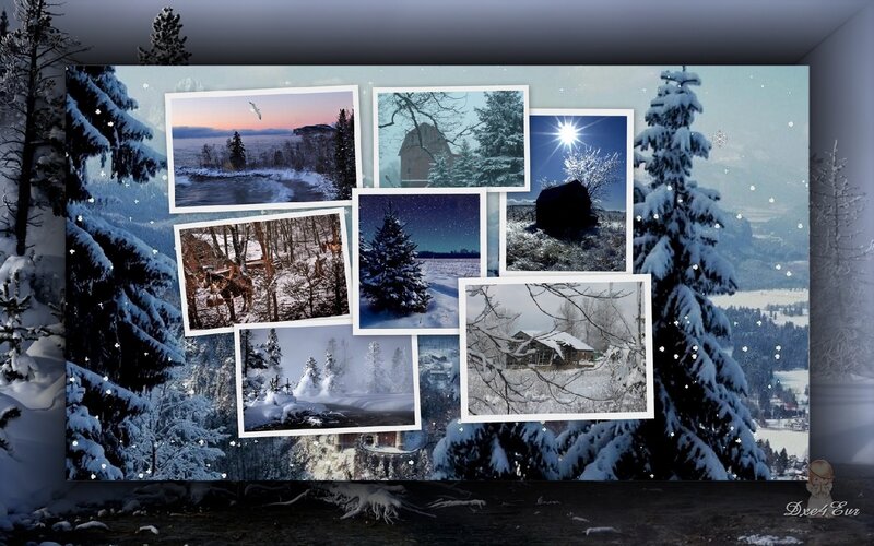 Snow-covered Winter Scenes — White